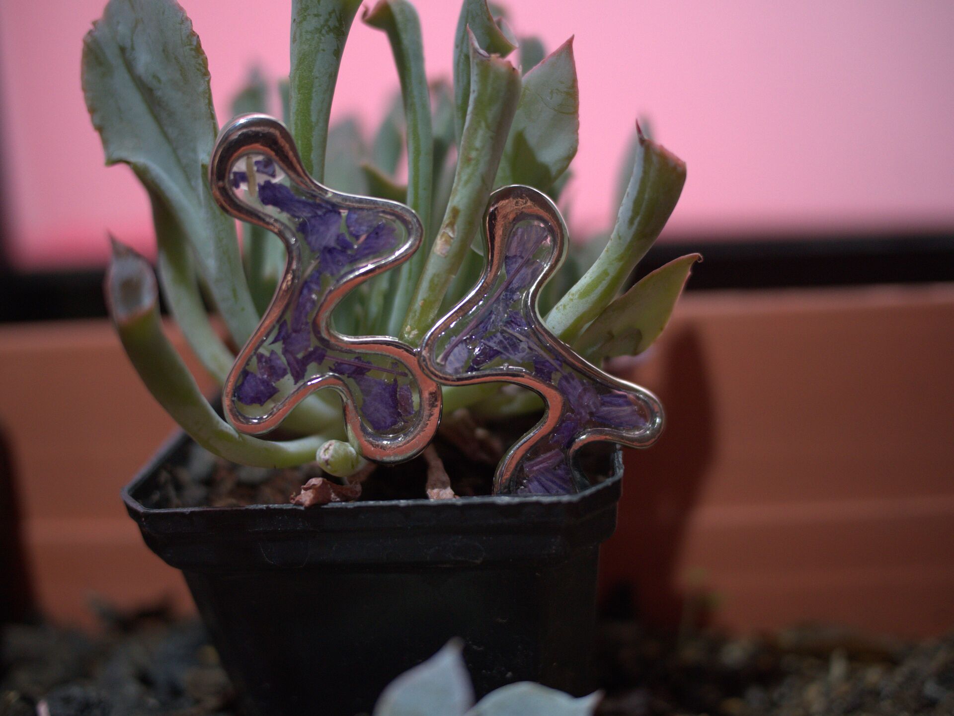 Materia viva